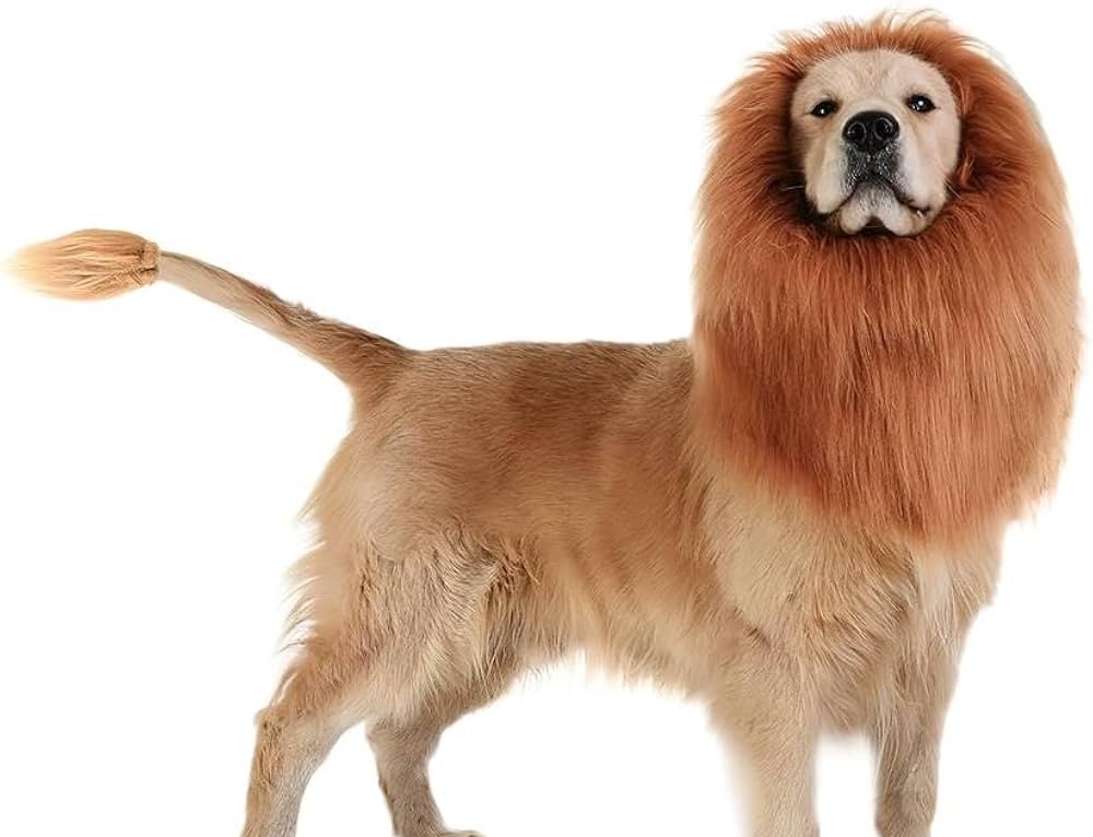 Free Mufasa Show